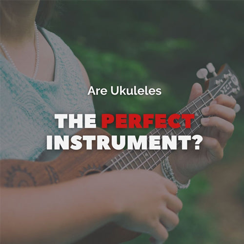 Ukulele: The Perfect Instrument?